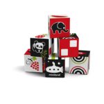 Cubos Apilables First Senses